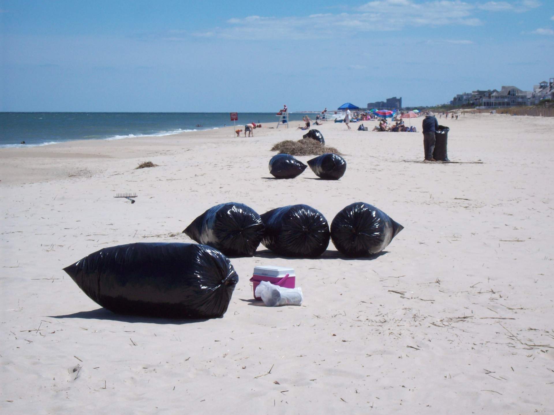 Bagged beach debris