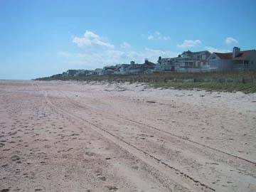 Clean beach after debris removal