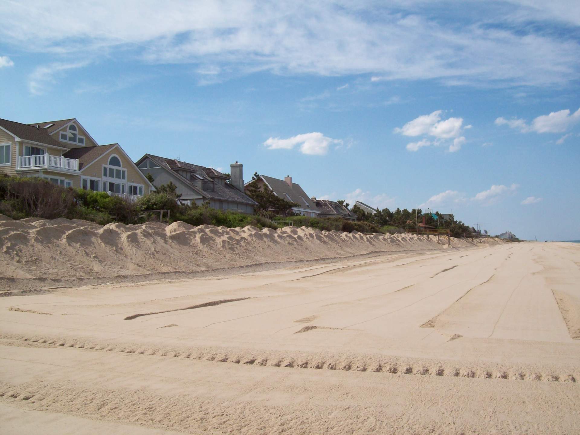 Cotton Patch Hills dune restoration