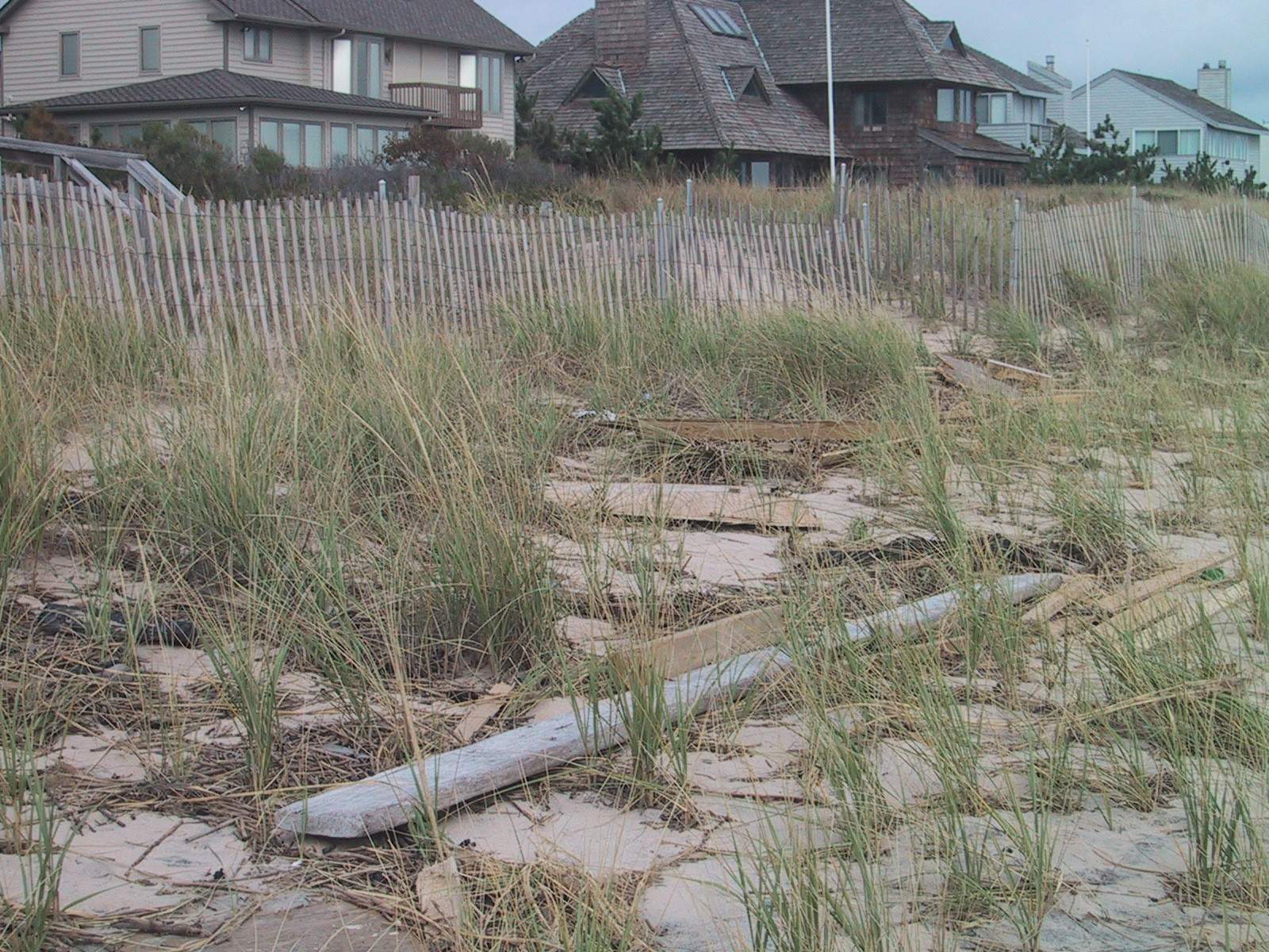 Dune debris