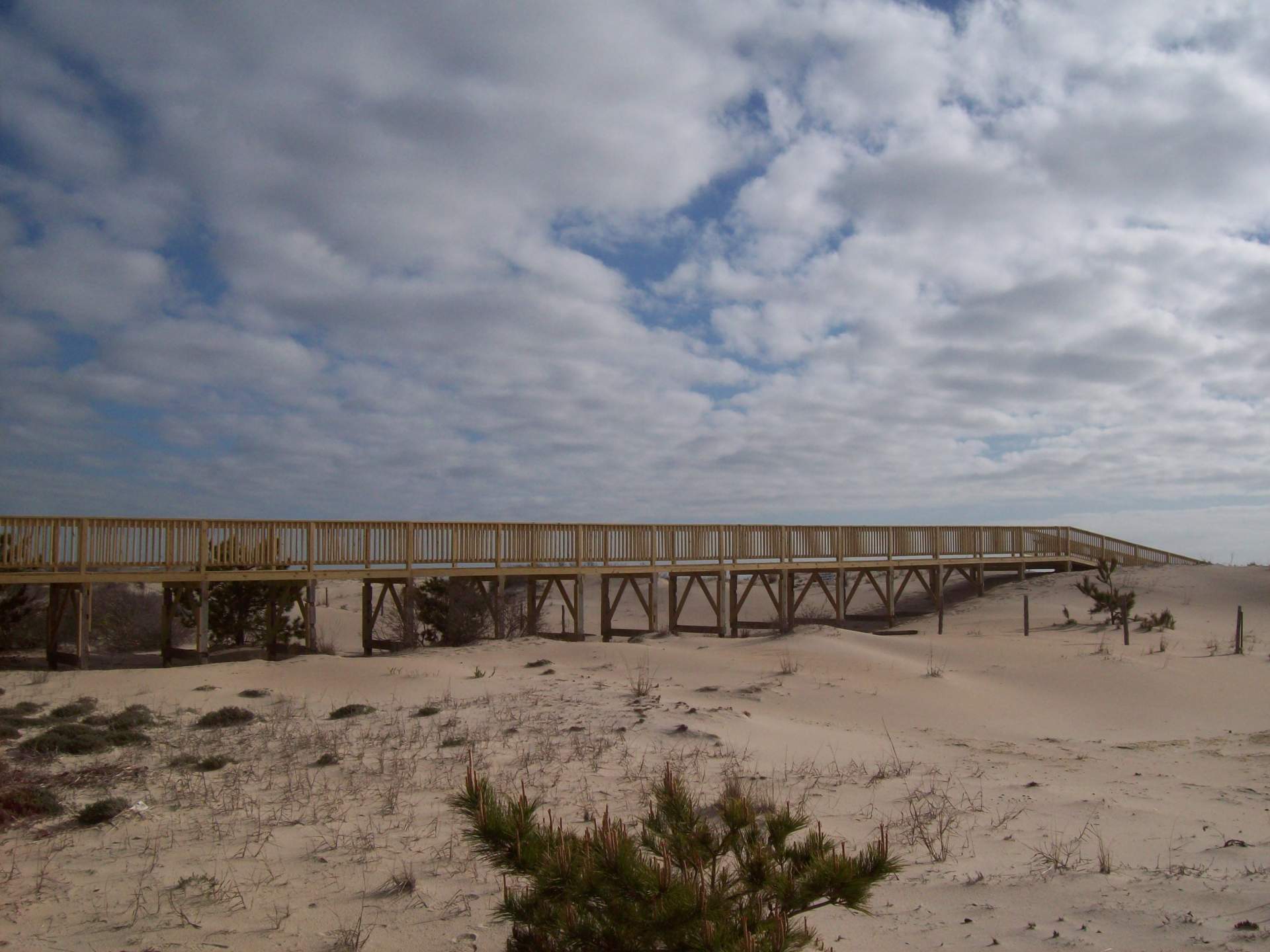 King's Grant North HOA Dune Crossover