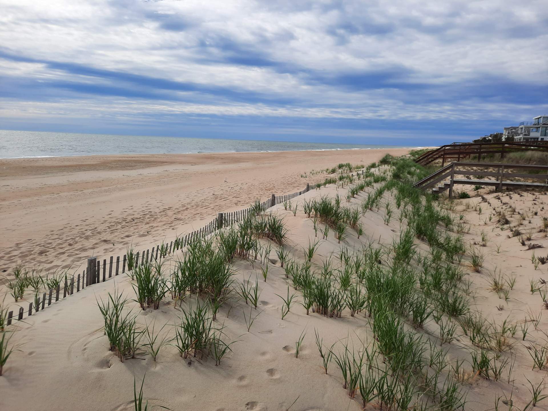 Ocean Ridge dune development 2 years after installing dune fence
