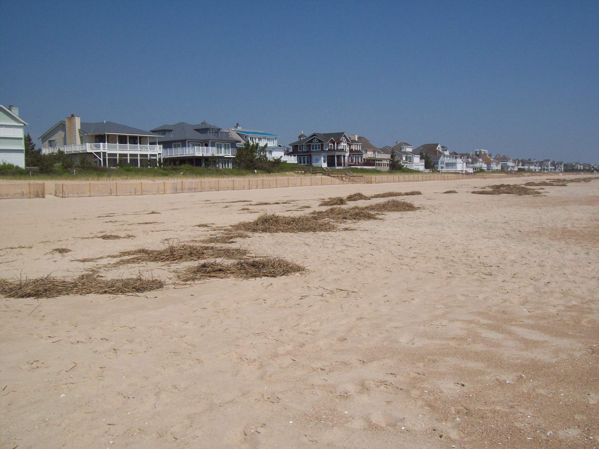 Pelican's Pouch before beach cleaning